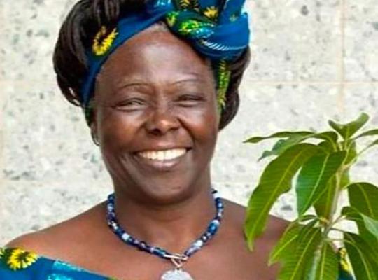 Wangari Maathai, 'celle qui plante des arbres', un modèle inspirant