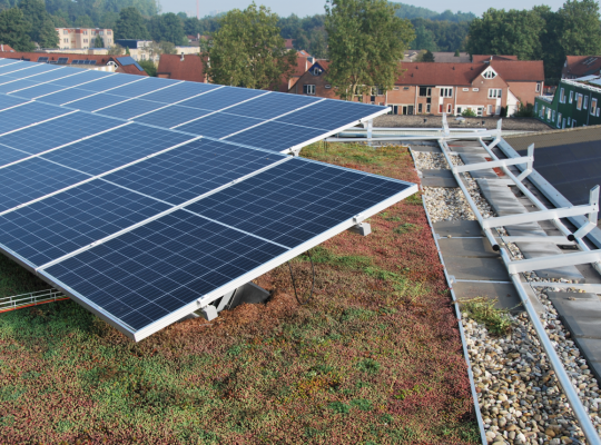 Pourquoi associer panneaux solaires et toitures vertes ?
