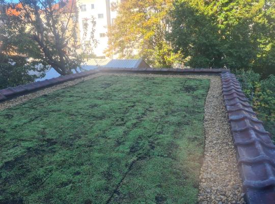 Toiture végétalisée à Bruxelles : pourquoi végétaliser l’extension d’une maison de ville ?