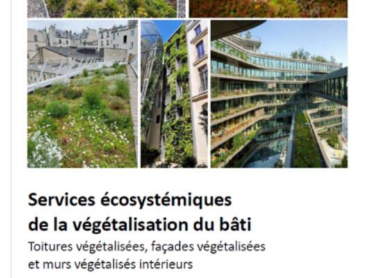 De nouvelles preuves concrètes en faveur de la végétalisation du bâti 