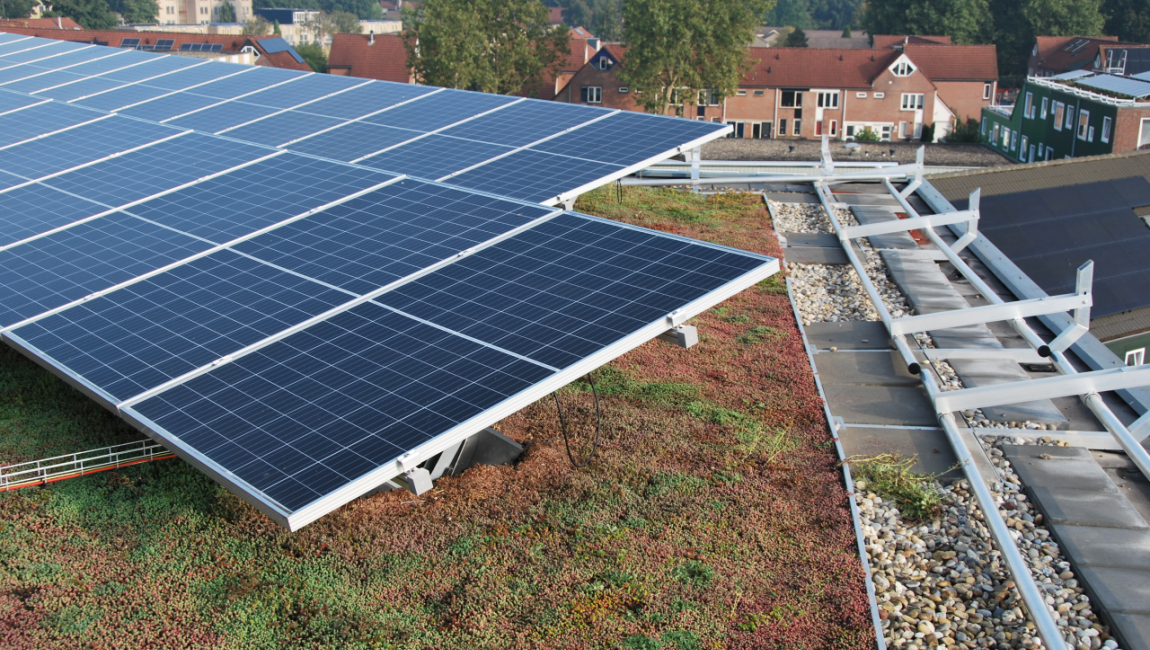 Associer panneaux solaires et toitures végétalisées